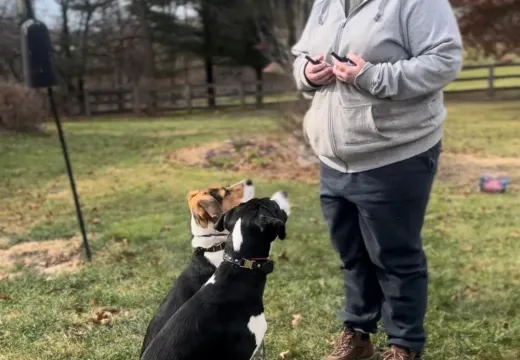 Owner Coaching