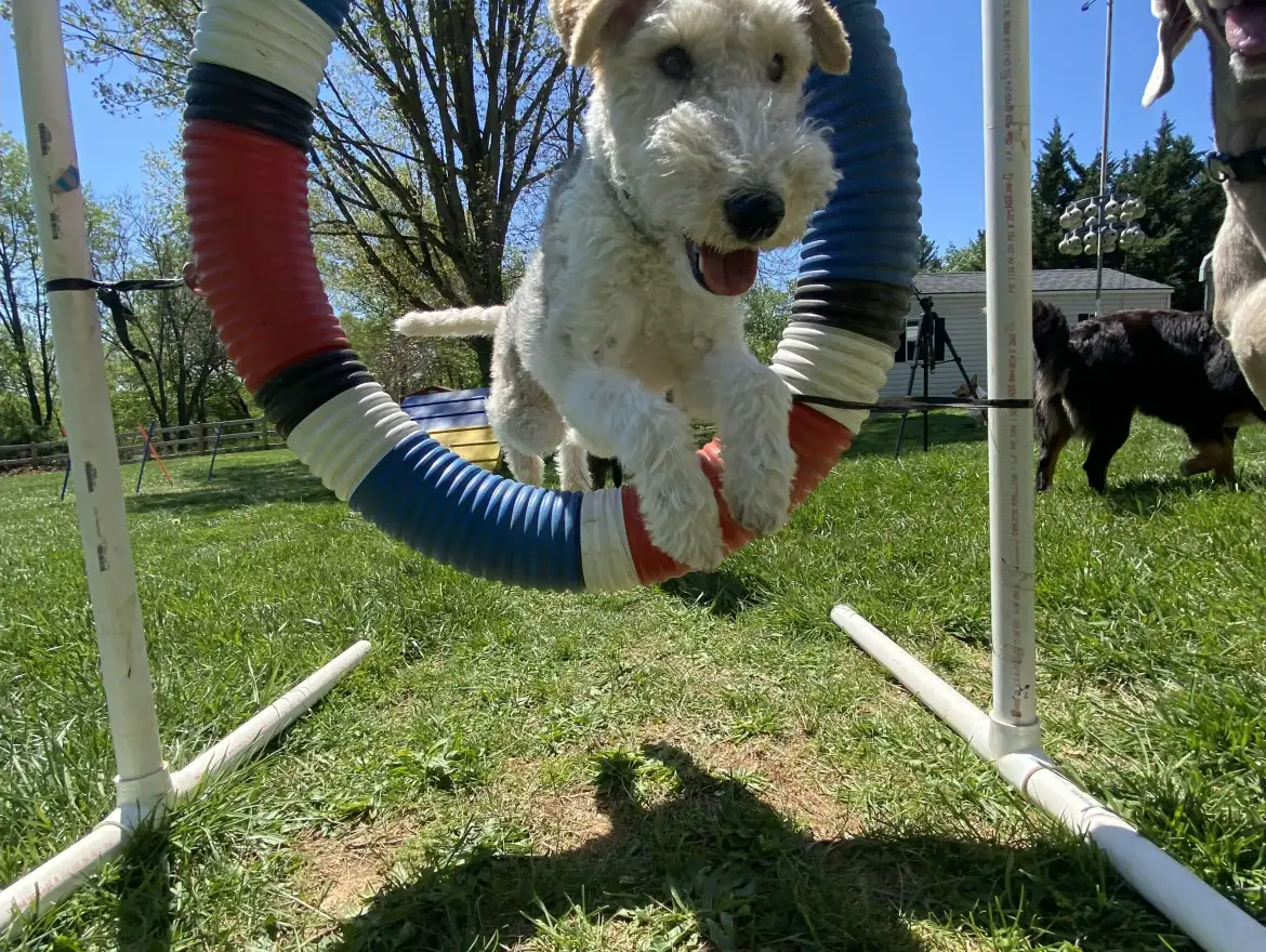 Sport Training